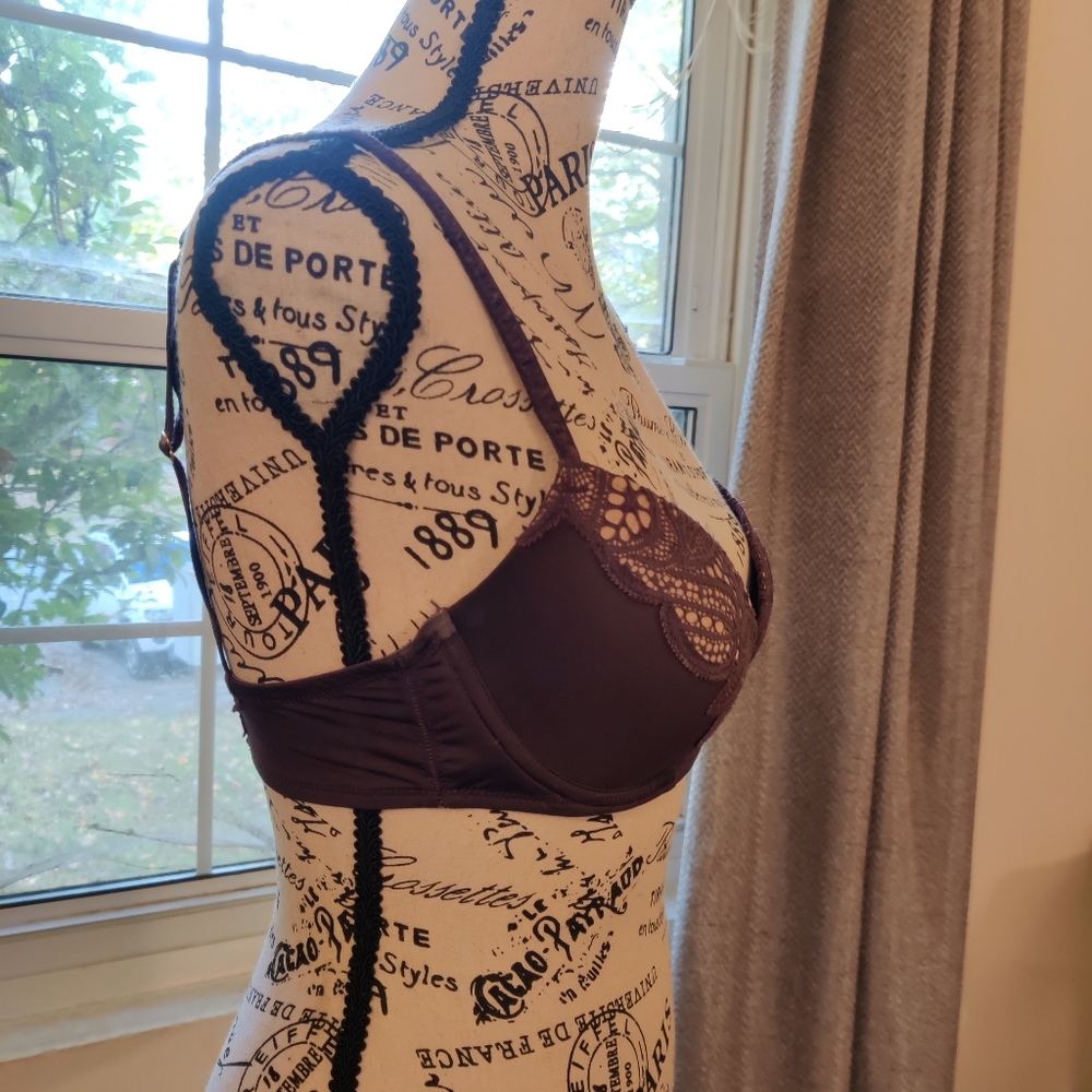 Beautiful Calvin Klein Bra - Picture 2 of 4